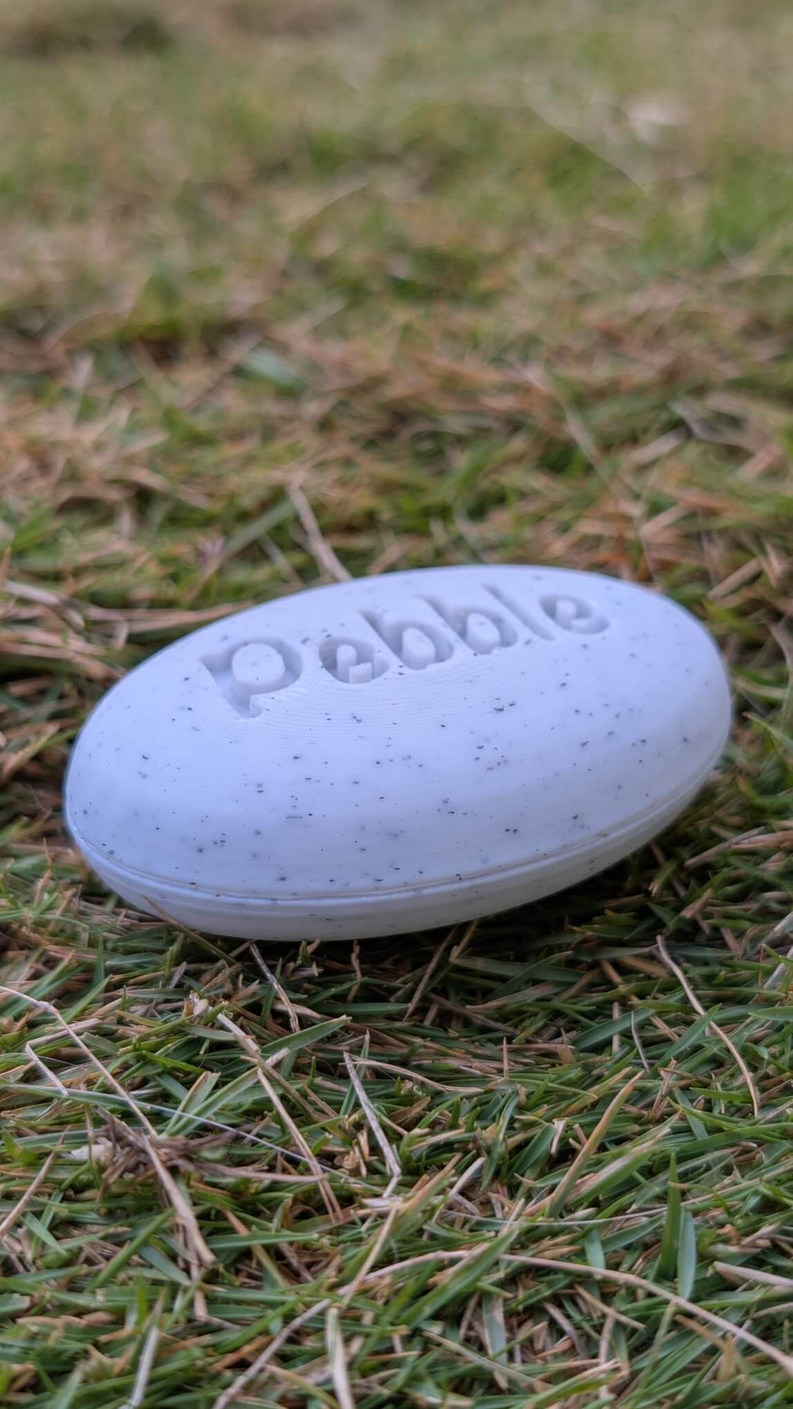 Pebble Demo